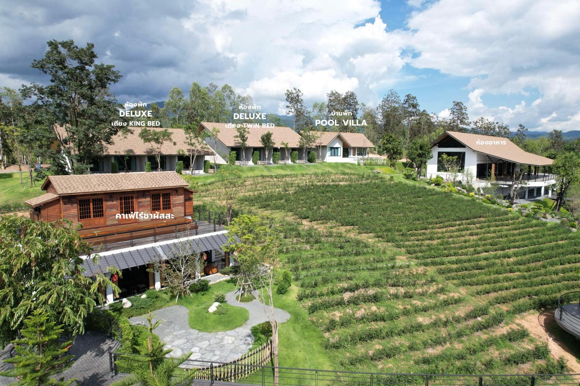 Hotel Passa ผัสสะ Tea Plantation @Mae On Ban Huai Kaeo Esterno foto